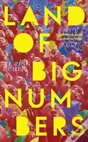 Capa do artigo Land Of Big Numbers