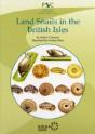Land Snails In The British Isles - Preview