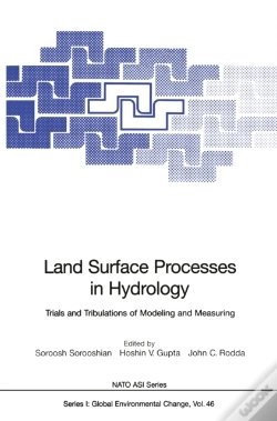 Capa do artigo Land Surface Processes In Hydrology