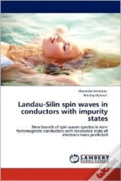 Landau-Silin Spin Waves In Conductors Wi