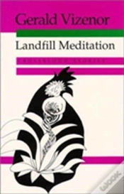 Capa do artigo Landfill Meditation