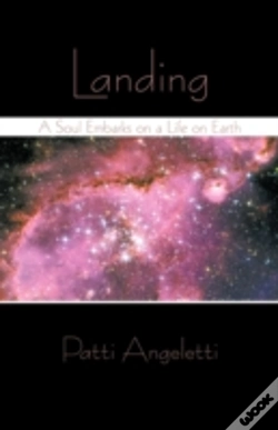 Capa do artigo Landing