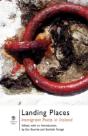 Landing Places: Immigrant Poets In Irela - Preview