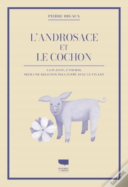 Capa do artigo L'Androsace Et Le Cochon : La Plante, L'Animal : Pour Une Relation Plus Juste Avec Le Vivant