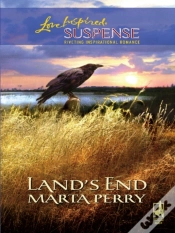 Capa do artigo Land