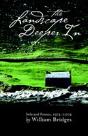 Landscape Deeper In - Preview