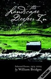 Capa do artigo Landscape Deeper In