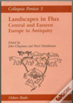 Landscape In Flux