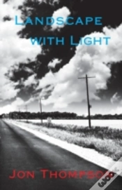 Capa do artigo Landscape With Light