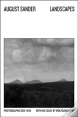 Capa do artigo Landscapes