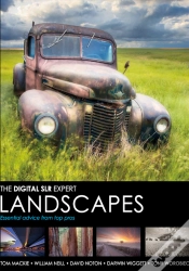 Capa do artigo Landscapes
