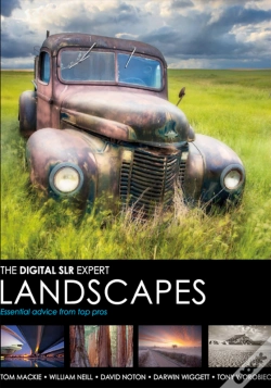 Capa do artigo Landscapes
