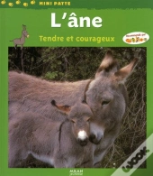 L'Âne, Tendre Et Courageux