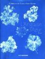 L'Anglaise D'Azur - Preview