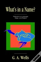 Capa do artigo Language, Magic And Religion