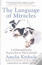 Capa do artigo Language Of Miracles