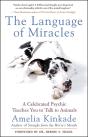 Language Of Miracles - Preview