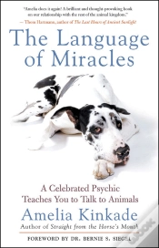 Capa do artigo Language Of Miracles