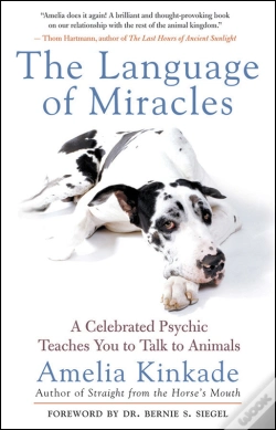Capa do artigo Language Of Miracles