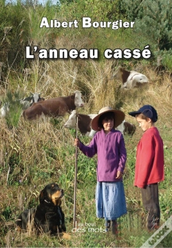 Capa do artigo L'Anneau Casse