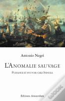 L'Anomalie Sauvage ; Puissance Et Pouvoir Chez Spinoza