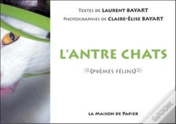 Capa do artigo L'Antre Chats