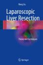 Laparoscopic Liver Resection - Preview