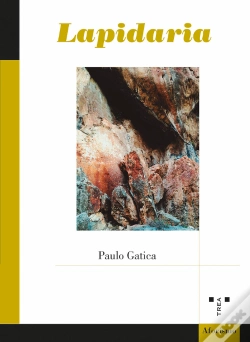 Capa do artigo Lapidaria