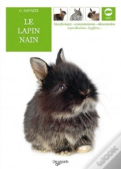 Lapin Nain