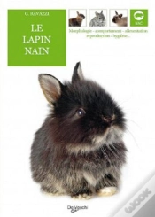 Capa do artigo Lapin Nain
