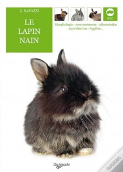 Capa do artigo Lapin Nain