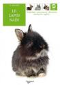 Lapin Nain - Preview