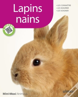 Capa do artigo Lapins Nains