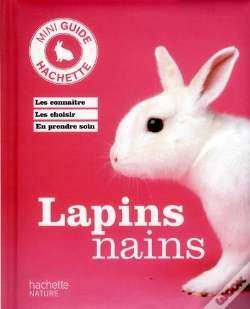 Capa do artigo Lapins Nains