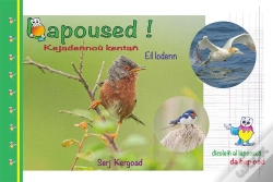 Capa do artigo Lapoused !