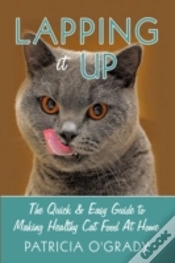 Capa do artigo Lapping It Up: The Quick & Easy Guide To