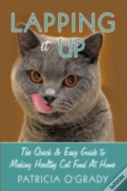 Capa do artigo Lapping It Up: The Quick & Easy Guide To