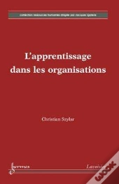 L'Apprentissage Dans Les Organisations