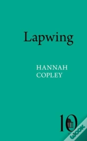 Capa do artigo Lapwing