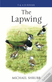 Capa do artigo Lapwing