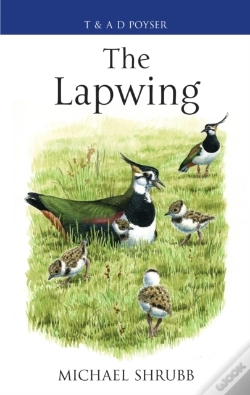 Capa do artigo Lapwing