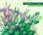 L'Arbre Et Le Mur - Preview