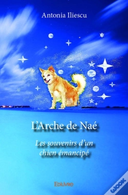 Capa do artigo L'Arche De Nae