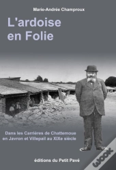 L'Ardoise En Folie ; Dans Les Carrieres De Chattemoue En Javron Et Villepail Au Xix Siècle