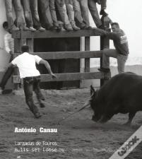 Largadas de Touros / Bulls set Loose