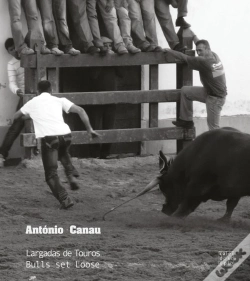 Capa do artigo Largadas de Touros / Bulls set Loose