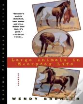 Large Animals In Everyday Life