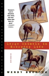 Large Animals In Everyday Life