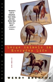 Capa do artigo Large Animals In Everyday Life
