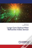 Large Core Optical Fiber Refractive Index Sensor